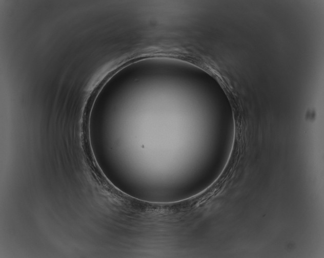 X0000089660340200707191653