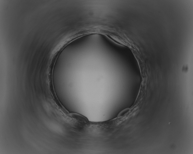X0000089660341200707191653