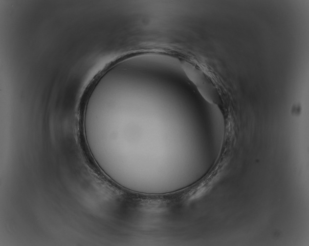 X0000089660342200707191653