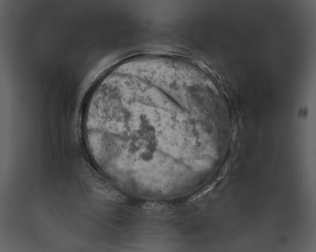 X0000089660343200707191653