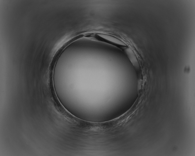 X0000089660344200707191653