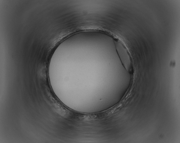 X0000089660345200707191653