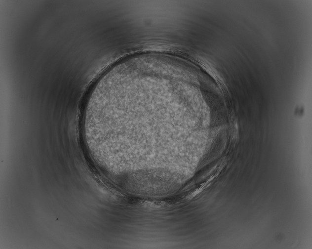 X0000089660346200707191653