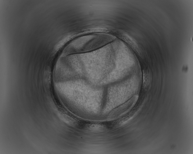 X0000089660348200707191653