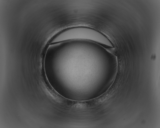 X0000089660350200707191654
