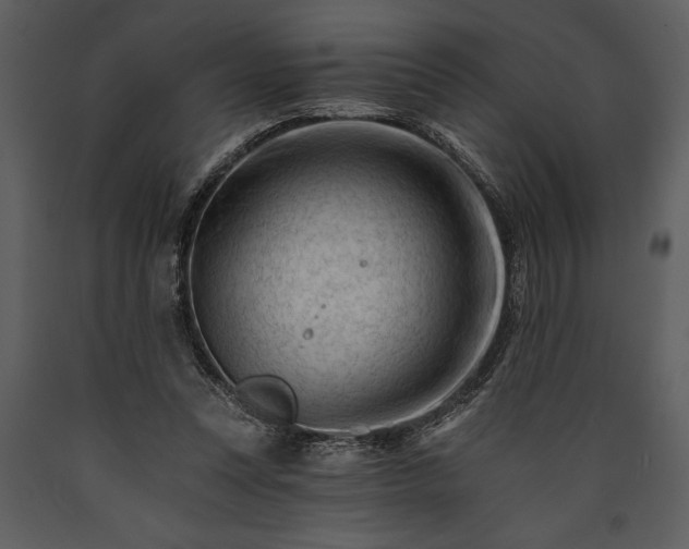 X0000089660351200707191654