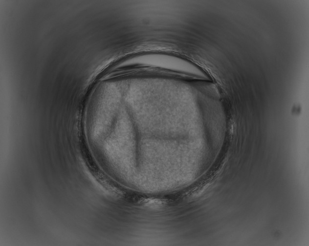 X0000089660352200707191654