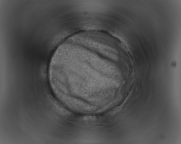 X0000089660353200707191654