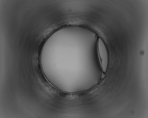 X0000089660354200707191654