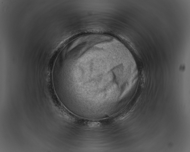 X0000089660355200707191654