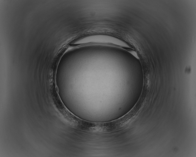 X0000089660356200707191654