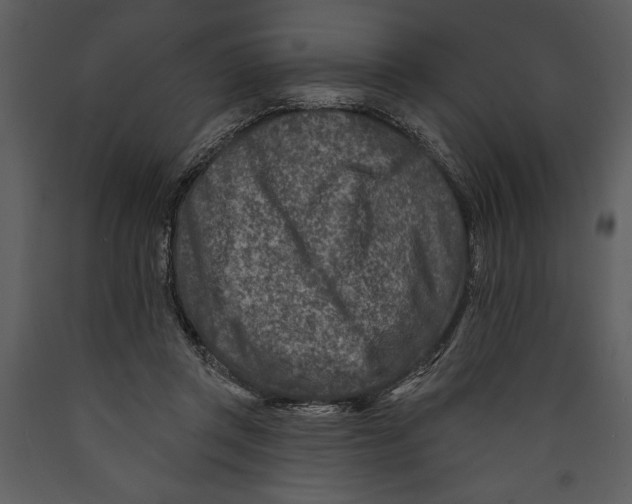 X0000089660357200707191654