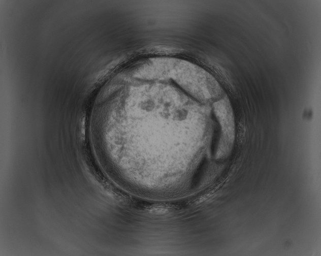 X0000089660358200707191654