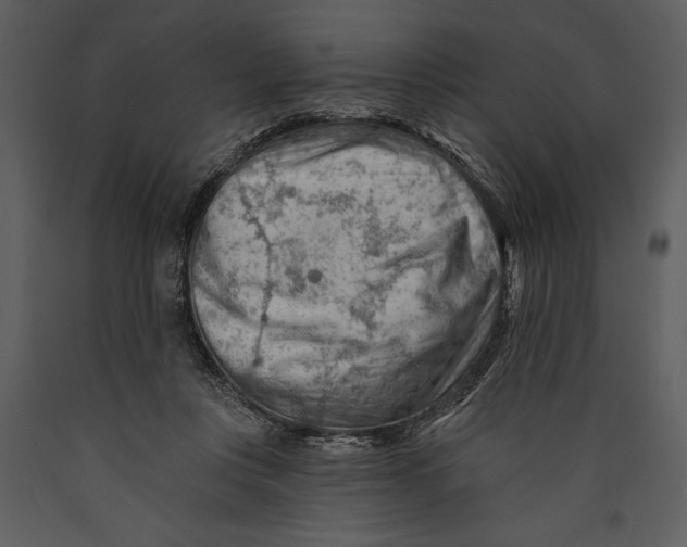 X0000089660359200707191654