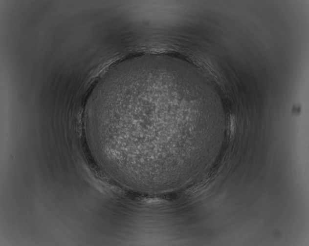X0000089660360200707191654