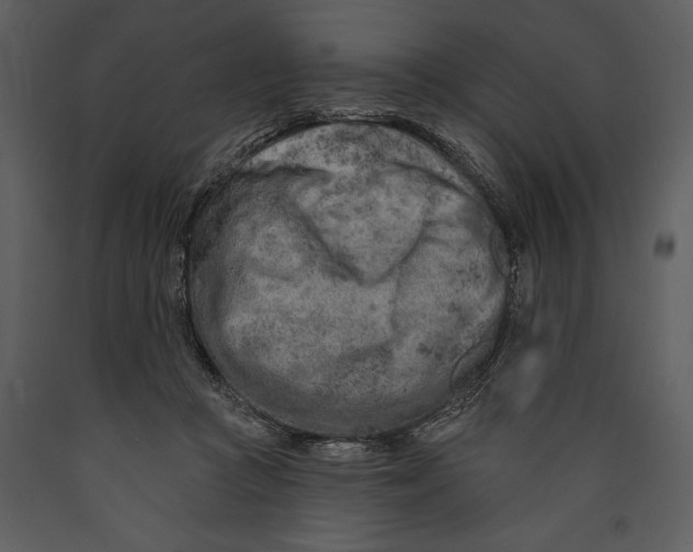 X0000089660361200707191654