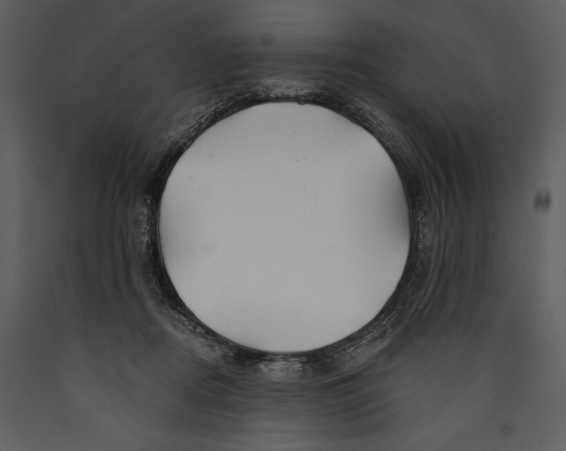 X0000089660362200707191654