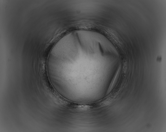 X0000089660363200707191654