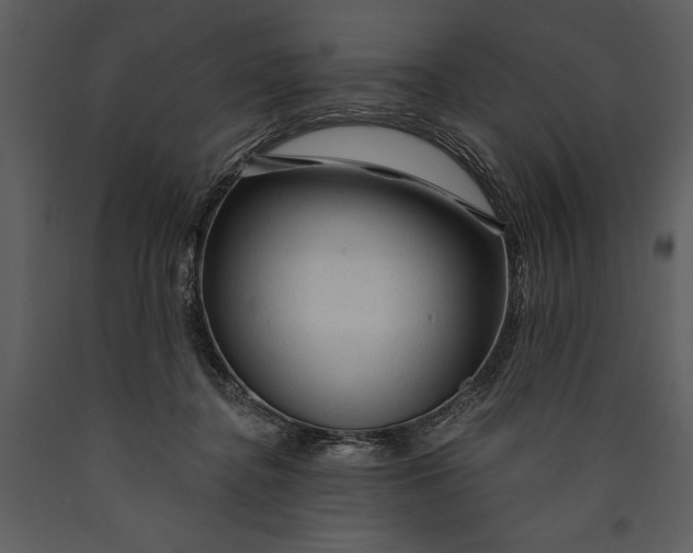 X0000089660364200707191654