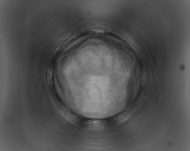 X0000089660365200707191654