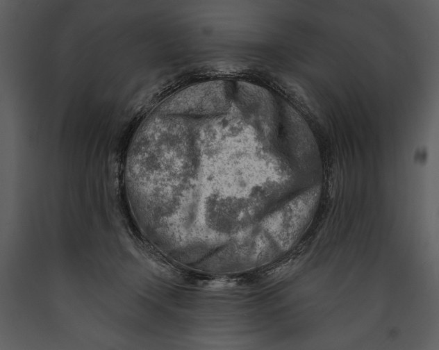 X0000089660366200707191654