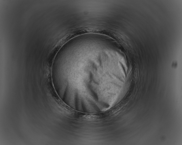 X0000089660367200707191654