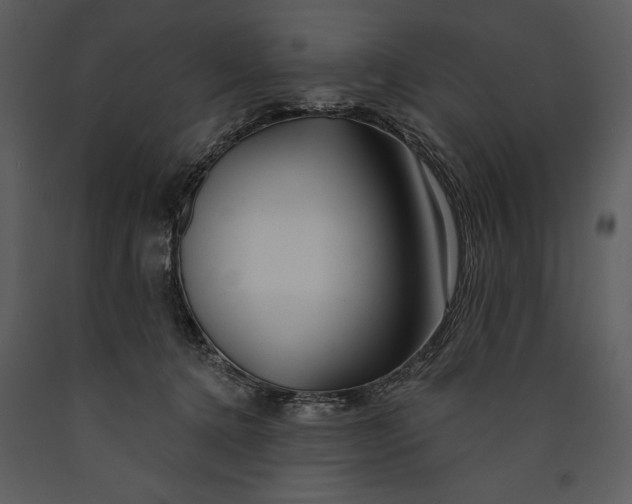 X0000089660368200707191654