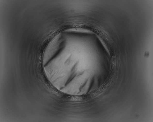 X0000089660369200707191654