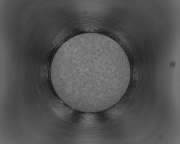 X0000089660370200707191654