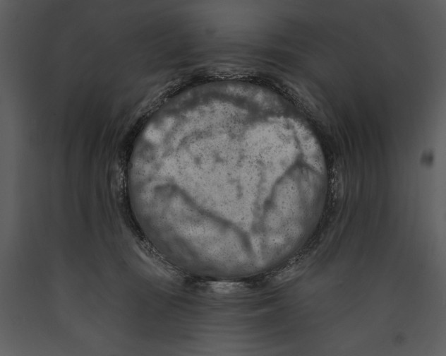 X0000089660371200707191654