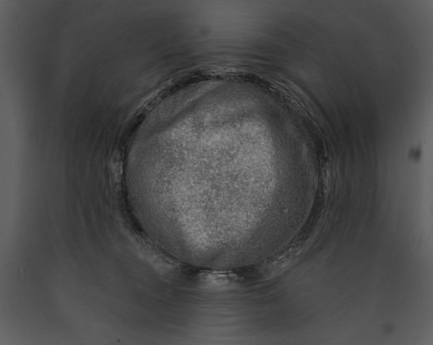 X0000089660372200707191654