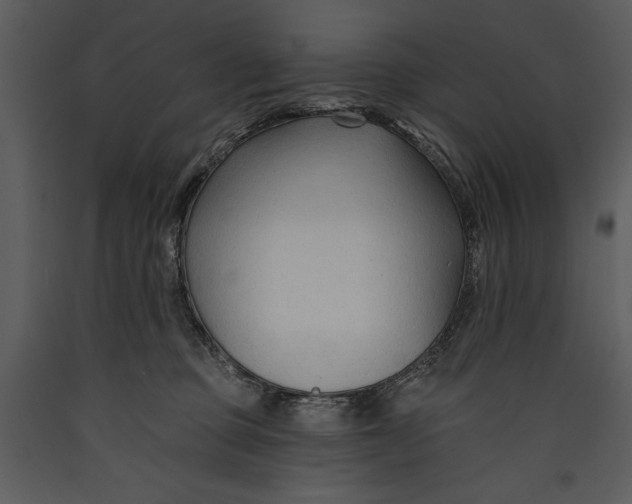 X0000089660373200707191654