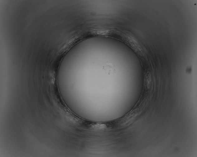 X0000089660374200707191654