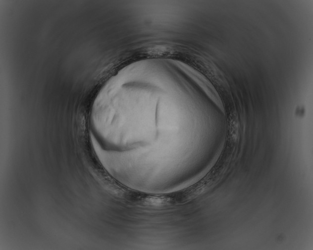 X0000089660375200707191654