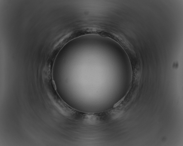 X0000089660376200707191654