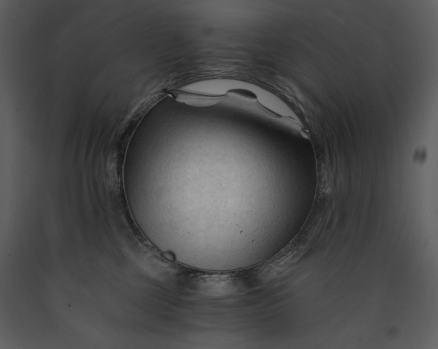 X0000089660377200707191654