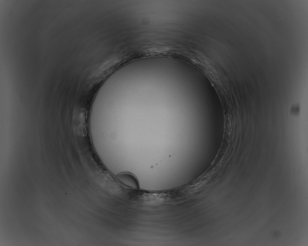 X0000089660378200707191654