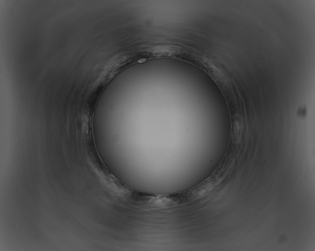 X0000089660379200707191654