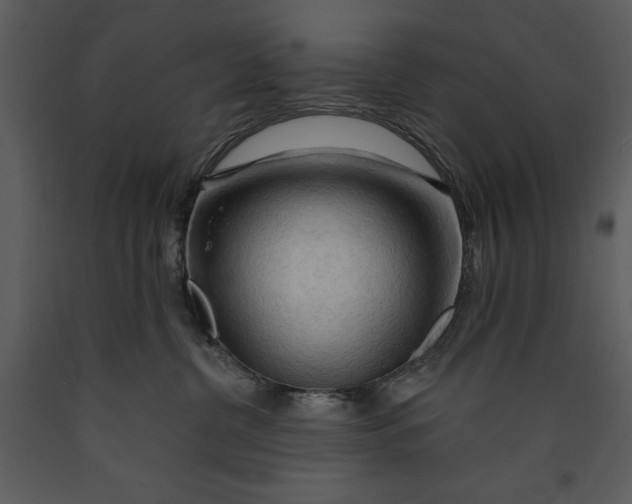 X0000089660380200707191654