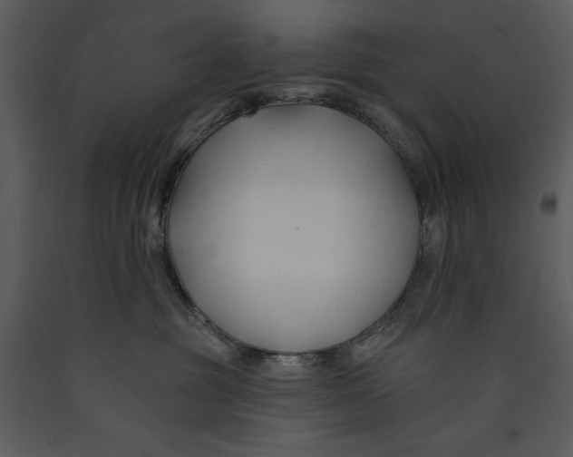 X0000089660381200707191654