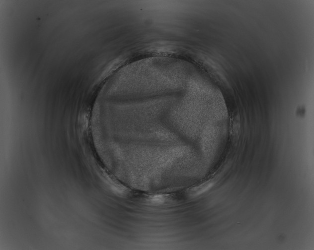 X0000089660382200707191654