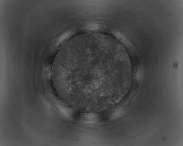 X0000089660383200707191654