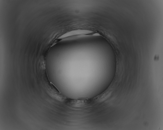 X0000089660384200707191654
