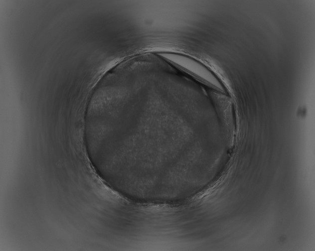 X0000089660385200707191653