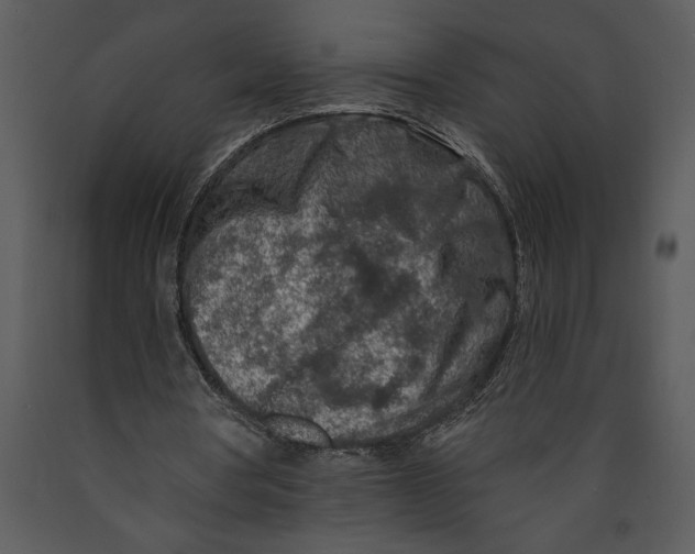 X0000089660386200707191653