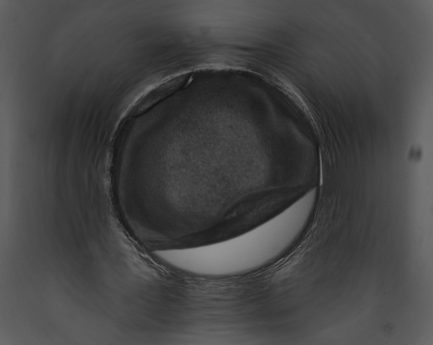 X0000089660387200707191653