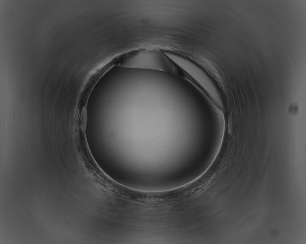 X0000089660388200707191653