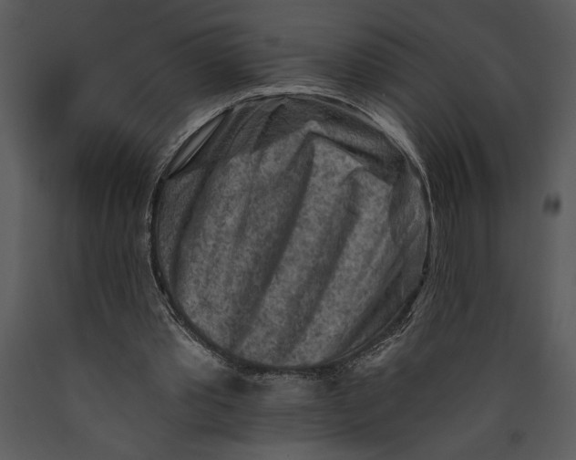 X0000089660389200707191653