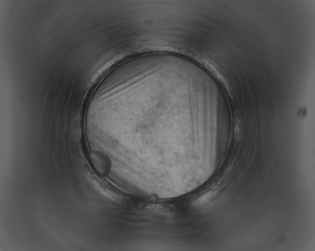 X0000089660390200707191653