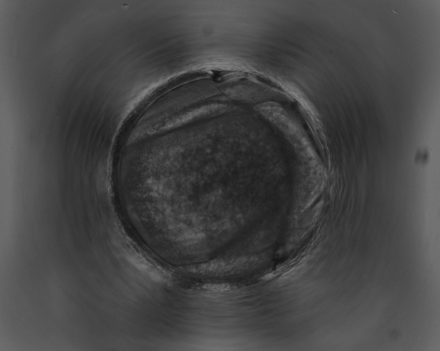 X0000089660391200707191653